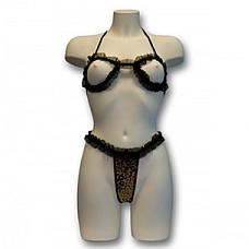      F220-01 EF 
             .