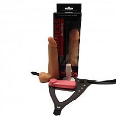 <strong>Страпон с вибрацией с выносным блоком 295023ru</strong> <br />
Страпон с вибрацией с выносным блоком изготовлен из термопластичного полимера, имитирующий кожу и биологические ткани, широко используется для изготовления протезов различных частей тела.<div class="charTableblock"><div><span>Длина, см</span>: 14.5</div><div><span>Диаметр, см</span>: 3</div><div><span>Длина, см</span>: 13-16</div><div><span>Диаметр, см</span>: 3</div><div><span>Материал</span>: TPE / TPR</div><div><span>Цвет</span>: телесный</div><div><span>Особенности</span>: комплект; vac-u-lock; с вибрацией</div></div> Страпон с вибрацией с выносным блоком 295023ru
Страпон с вибрацией с выносным блоком изготовлен из термопластичного полимера, имитирующий кожу и биологические ткани, широко используется для изготовления протезов различных частей тела.