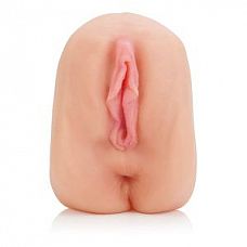 <strong>Вагина и анус с вибраторами Alexis Amore</strong> <br />
Компактный мастурбатор телесного цвета в виде вагины и ануса с вибрацией.<div class="charTableblock"> </div> Вагина и анус с вибраторами Alexis Amore
Компактный мастурбатор телесного цвета в виде вагины и ануса с вибрацией.