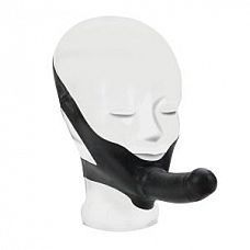      The Original Accommodator 
,   .