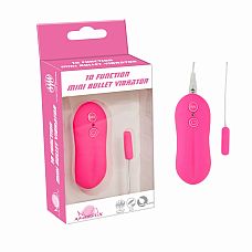   10Function Mini Bullet 10035005 
   10    .