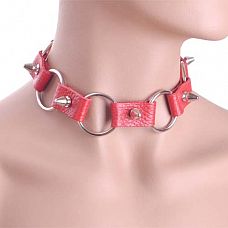 <strong>Ошейник кожаный красный с кольцами 3110-2</strong> <br />
Изготовлен из натуральной кожи.<div class="charTableblock"> </div> Ошейник кожаный красный с кольцами 3110-2
Изготовлен из натуральной кожи.