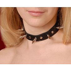 <strong>Ошейник кожаный черный шириной 20мм с шипами длиной 25мм с цепочкой 3103-1</strong> <br />
Изготовлен из натуральной кожи с велюровой подкладкой.<div class="charTableblock"> </div> Ошейник кожаный черный шириной 20мм с шипами длиной 25мм с цепочкой 3103-1
Изготовлен из натуральной кожи с велюровой подкладкой.