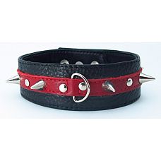 <strong>Ошейник из кожи с шипами 55012ars</strong> <br />
<div class="charTableblock"><div><span>Материал</span>: кожа</div><div><span>Цвет</span>: черный</div></div> Ошейник из кожи с шипами 55012ars