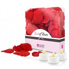 <strong>Любовный набор Lovers Premium Bed of Roses Red</strong> <br />
Удивите свою партнершу – усыпьте лепестками роз кровать или путь к ванной.<div class="charTableblock"> </div> Любовный набор Lovers Premium Bed of Roses Red
Удивите свою партнершу – усыпьте лепестками роз кровать или путь к ванной.
