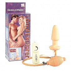    ANAL EXPLORER - 12 . 
          .
