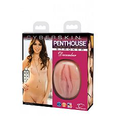   Penthouse Toys Calendar Girl - December - Ashlyn Rae  
  Penthouse Toys Calendar Girl - December - Ashlyn Rae   "Penthouse" - "   ".