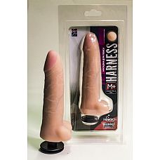 <strong>Насадка на пояс Harness с коннектором Medium-plus Size </strong> <br />
Насадка на пояс Harness с коннектором Medium-plus Size. <div class="charTableblock"><div><span>Длина, см</span>: 17</div><div><span>Диаметр, см</span>: 4</div><div><span>Длина, см</span>: 17-20</div><div><span>Диаметр, см</span>: 4</div><div><span>Материал</span>: киберкожа</div><div><span>Цвет</span>: телесный</div><div><span>Особенности</span>: vac-u-lock; насадка; harness</div><div><span>Производитель</span>: Биоклон, Россия</div></div> Насадка на пояс Harness с коннектором Medium-plus Size
Насадка на пояс Harness с коннектором Medium-plus Size.