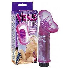 ��������� �������� � ���������  Venus Lips  
����������� ��������� �������� ��� ����������� � ������������ ���������� �� ���������� ��������.