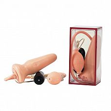   c  BUTTPLUG PLUS PUMP  
   .