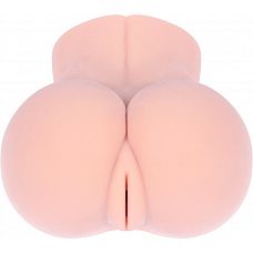 - Ella   
 Ella   ,      .
