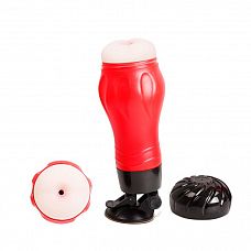 --   Flora 
 ,       .