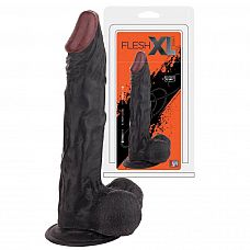 ׸     FleshXL - 22,5 . 
׸     FleshXL.     .