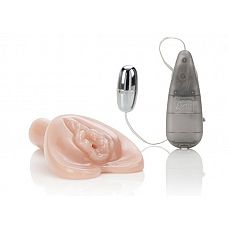 <strong>Мастурбатор-вагина CRYSTAL SALSA PUSSY</strong> <br />
Чувственный вагина-мастурбатор из мягкого материала телесного цвета.<div class="charTableblock"><div><span>Материал</span>: TPE / TPR</div></div> Мастурбатор-вагина CRYSTAL SALSA PUSSY
Чувственный вагина-мастурбатор из мягкого материала телесного цвета.