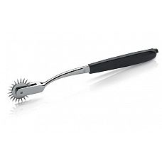   Spiny Spencer    
Spiny Spencer     ,           20 ,    -     .