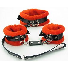     BDSM Light 760002ars 
