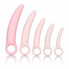 ����� �� 5 ��������������� ������� ������� Sili Dilator 5 P 
����� ����������� ���������� ��� �������������� ������������� ������ ���������.