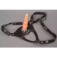 <strong>Трусики-унисекс с гелевой анальной ёлочкой телесного цвета - 15 см.</strong> <br />
Трусики страпона выполнены из натуральной кожи черного цвета.<div class="charTableblock"><div><span>Длина, см</span>: 15.00</div><div><span>Диаметр, см</span>: 3.50</div><div><span>Длина, см</span>: 13-16</div><div><span>Диаметр, см</span>: 3</div><div><span>Материал</span>: кожа</div><div><span>Цвет</span>: телесный</div><div><span>Особенности</span>: комплект</div></div> Трусики-унисекс с гелевой анальной ёлочкой телесного цвета - 15 см.
Трусики страпона выполнены из натуральной кожи черного цвета.