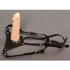 <strong>Универсальный страпон с реалистичной гелевой насадкой - 16 см.</strong> <br />
Трусики страпона выполнены из натуральной кожи чёрного цвета.<div class="charTableblock"><div><span>Длина, см</span>: 16.00</div><div><span>Диаметр, см</span>: 4.00</div><div><span>Длина, см</span>: 13-16</div><div><span>Диаметр, см</span>: 4</div><div><span>Материал</span>: кожа</div><div><span>Цвет</span>: телесный</div><div><span>Особенности</span>: комплект</div></div> Универсальный страпон с реалистичной гелевой насадкой - 16 см.
Трусики страпона выполнены из натуральной кожи чёрного цвета.