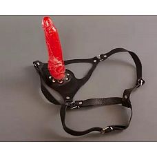 <strong>Страпон унисекс с гелевой красной насадкой-фаллосом - 16 см.</strong> <br />
Трусики страпона выполнены из натуральной кожи чёрного цвета.<div class="charTableblock"><div><span>Длина, см</span>: 16.00</div><div><span>Диаметр, см</span>: 4.50</div><div><span>Длина, см</span>: 13-16</div><div><span>Диаметр, см</span>: 4</div><div><span>Материал</span>: кожа</div><div><span>Цвет</span>: красный/розовый</div><div><span>Особенности</span>: комплект</div></div> Страпон унисекс с гелевой красной насадкой-фаллосом - 16 см.
Трусики страпона выполнены из натуральной кожи чёрного цвета.