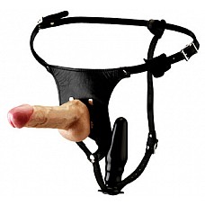        
 Harness -       .    15,5 ,  4,5 .    13 ,  3,5 .                 ,        - .     .         .        Harness.