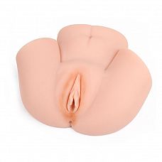   +  Chisa  
 -             -  , ,  .