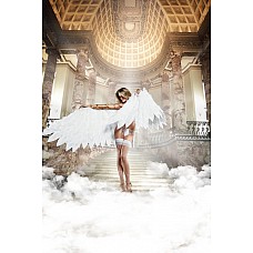 ����� ����� � ������ ���� 
����� ����� � ������ ����.