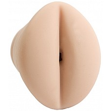  -    COCK-PIT 
        .     ,           ! <br><br>
         ,            !
