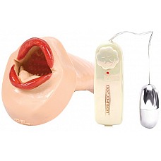 �����-����� LORI �������� 
����� � ������ �������� ������ � ������ �������. ������ ������������ ��������� ������, ����� ��������� ���� � �������, ��� ������� �������� ����� ������������ � ����� ��������. � ��������� �����-�������, ������� �������� �� ��������� ������. ������������ ��� ��������� ���� ��. ����� ������ ������������ 16,5 ��.
