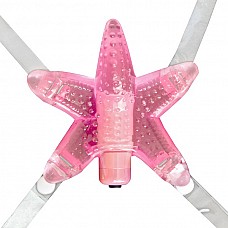 ���������� ������� LI`L STARFISH 
���������� ������� �������� ����� � 7 ��������� �������� � ���� ������� ������ ����� ����������� �����, ����������� ������������� ����������� �������. �������� � ���� ��� ������ ���������� ����������� ��������, � ������������ ��������������� �� ����� ��������� ���� - ������. �������� �� ���� �������� ���� "��������", ��������� � ���������.
