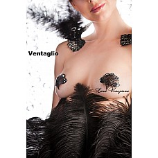 ��������� �� ����� Ventaglio 
