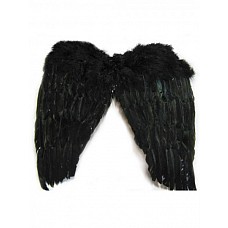 ���������� ������ ������ 50�50�� 
������ (������) 50 ��
������ 50 ��
����: ������