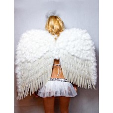 ����������� ������ �������� ����� 80�80  
������ (������): 80 ��
������:  80 ��
����: �����