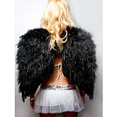 ������ �������� ������ 60�50�� 
������ (������) 60 ��
������ 50 ��
����: ������