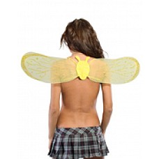 ������ ������ 
������ ������