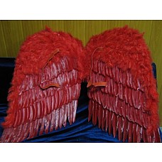 ����������� ������ �������� ����� 80�80  
������ (������): 80 ��
������:80 ��
����: �������