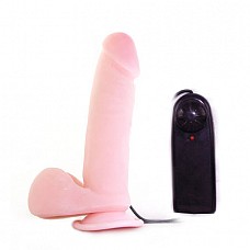 �������� � ��������� BW-008017AR 
<br>�������������: <b>Baile</b><br/>