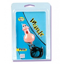 �������-������ � �������� 2419-10 CD SE 
����������� ������� �� ������ � ���� ������� � ��������.