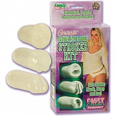 <strong>Три мастурбатора CASEY PARKER 3034-00 BX SE</strong> <br />
Комплект из трех светящихся в темноте мастурбаторов в виде ротика, ануса и вагины.<div class="charTableblock"> </div> Три мастурбатора CASEY PARKER 3034-00 BX SE
Комплект из трех светящихся в темноте мастурбаторов в виде ротика, ануса и вагины.