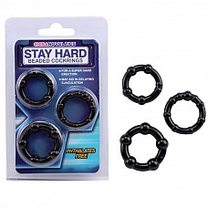     Stay Hard 
     ,     .
<br><br>  ,   : ,    .
