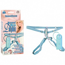 �����-���������� ������� DOLPHIN 0613-50 BX SE 
������������ ���������� �� �������� �������-�������� �����.