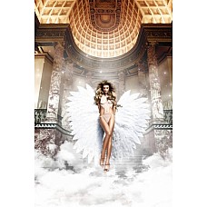 <strong>Белый монокини из тюлевой ткани в точечку Back in Heaven</strong> <br />
Ангельский Monokini укутает Вас своей нежно-белой прозрачной тюлевой тканью с игривыми маленькими точечками. С завязками за шеей он предстает с грациозным перед, подчеркивающий Ваши привлекательные очертания, в то время как сзади раскрывается полная и открытая страсть.<div class="charTableblock"><div><span>Размер</span>: S (42-44); M (44-46); L (46-48)</div></div> Белый монокини из тюлевой ткани в точечку Back in Heaven
Ангельский Monokini укутает Вас своей нежно-белой прозрачной тюлевой тканью с игривыми маленькими точечками. С завязками за шеей он предстает с грациозным перед, подчеркивающий Ваши привлекательные очертания, в то время как сзади раскрывается полная и открытая страсть.