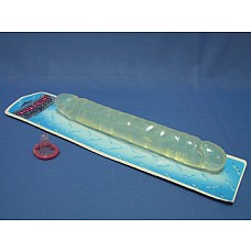 <strong>Лесбийский фаллоимитатор</strong> <br />
Прозрачный нежный двухсторонний фаллоимитатор. Рельефный по всей длине.<div class="charTableblock"><div><span>Длина, см</span>: 29.5</div><div><span>Диаметр, см</span>: 4</div><div><span>Материал</span>: ПВХ (PVC)</div><div><span>Цвет</span>: прозрачный</div><div><span>Особенности</span>: двухголовый</div><div><span>Длина, см</span>: 25 и более</div><div><span>Диаметр, см</span>: 4</div><div><span>Производитель</span>: Doc Johnson, США</div></div> Лесбийский фаллоимитатор
Прозрачный нежный двухсторонний фаллоимитатор. Рельефный по всей длине.