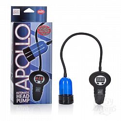  ��������� ����� APOLLO AUTOMATIC  BLUE 1036-03BXSE