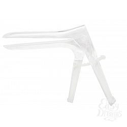    Asylum Speculum