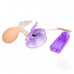  ������������� � ��������� ������ ������� BI-010125R