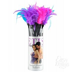  ���� � �������� ��� ���������