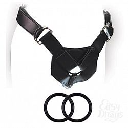        SX HARNESS ADVANCED HARNESS