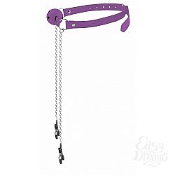 Фиолетовый резиновый кляп-шар с зажимами для сосков Фиолетовый резиновый кляп-шар с зажимами для сосков