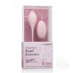 Вибромассажер INSPIRE VIB RMT KEGEL EXERCISR Вибромассажер INSPIRE VIB RMT KEGEL EXERCISR